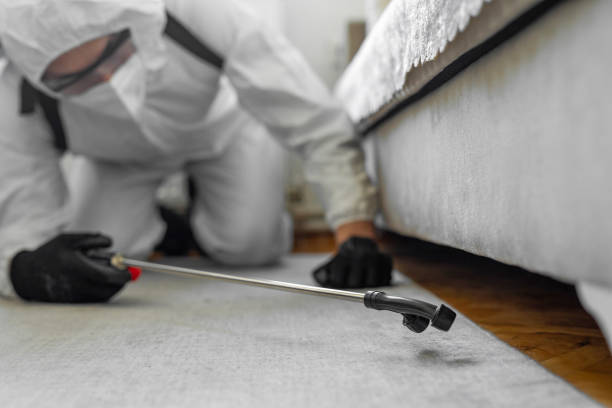 Professional Ant Control technician working in Lucerne, CA